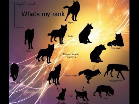 wolf ranking highest to lowest